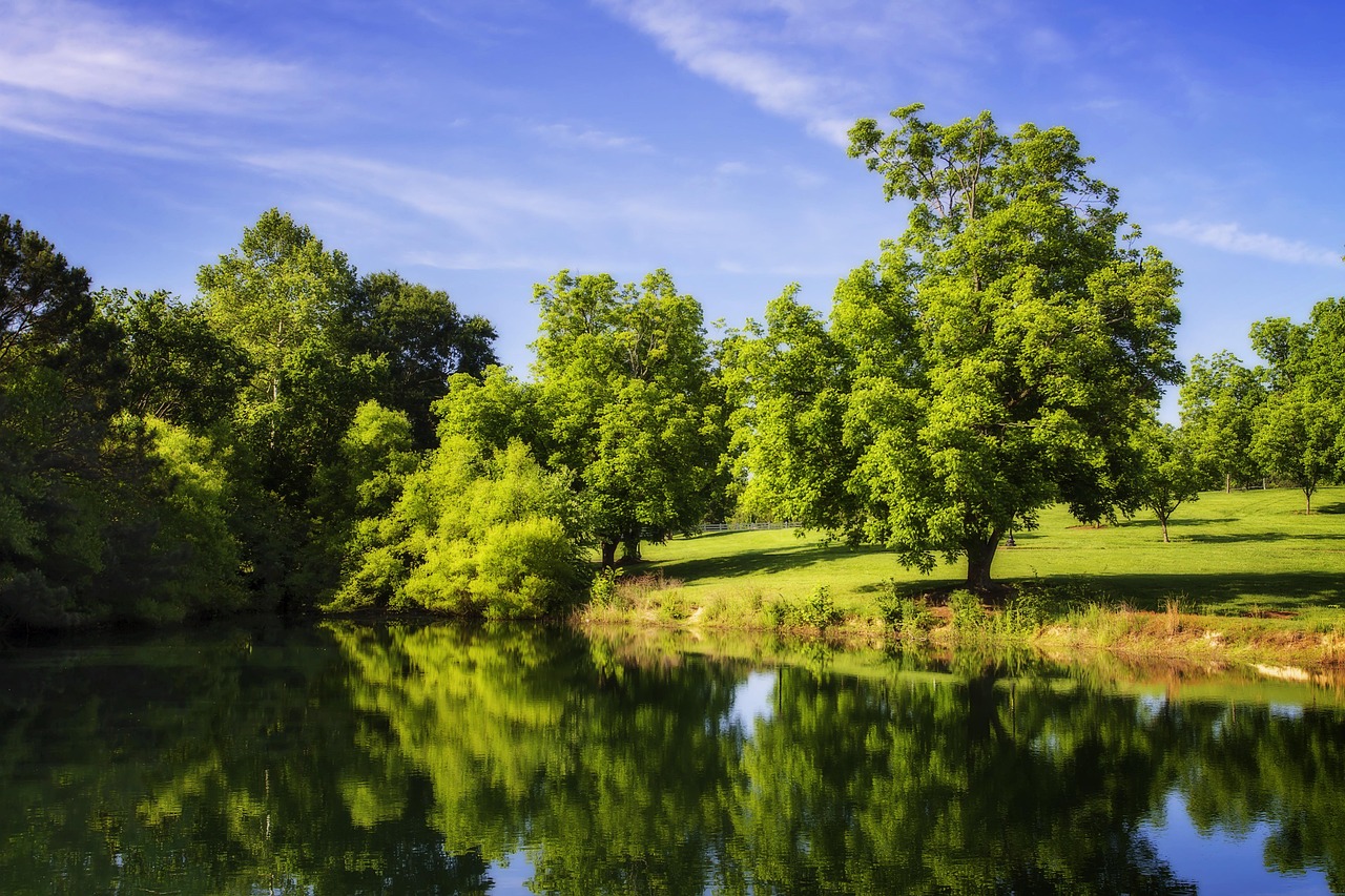 God will supply your needs — peaceful green pasture with still waters