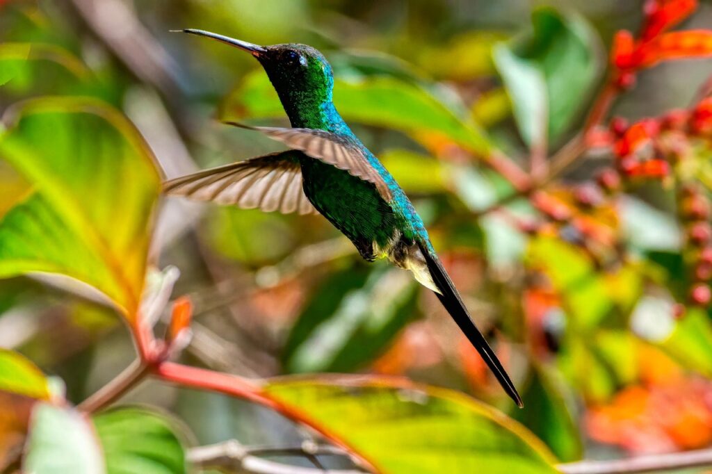 Spiritual eyes seeing God’s presence in creation