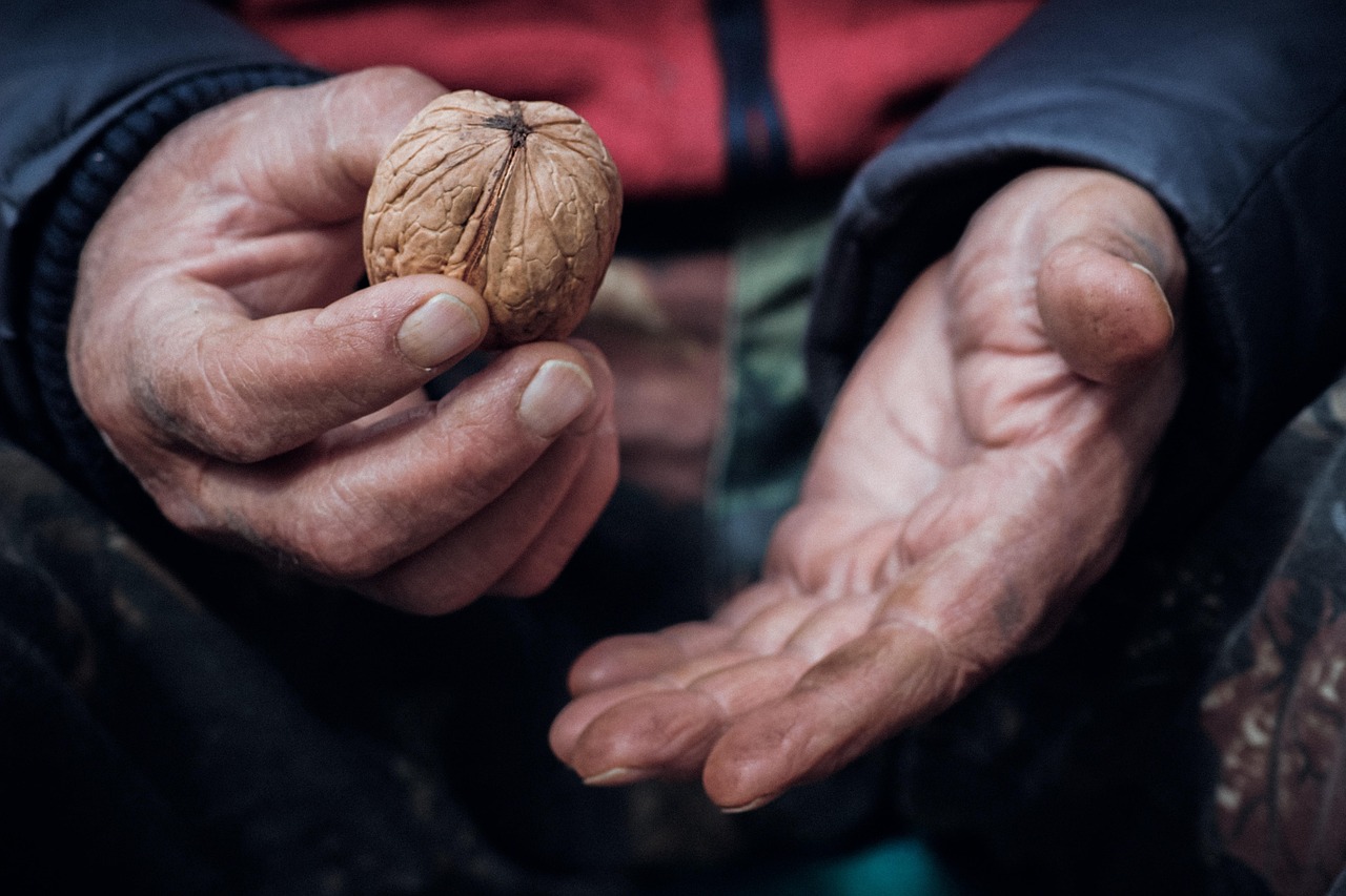 A pair of hands offering food to someone in need, symbolizing compassion and action.