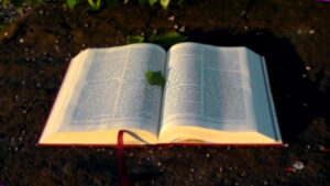 A glowing Bible with a beam of light symbolizing God's Word accomplishing its purpose.