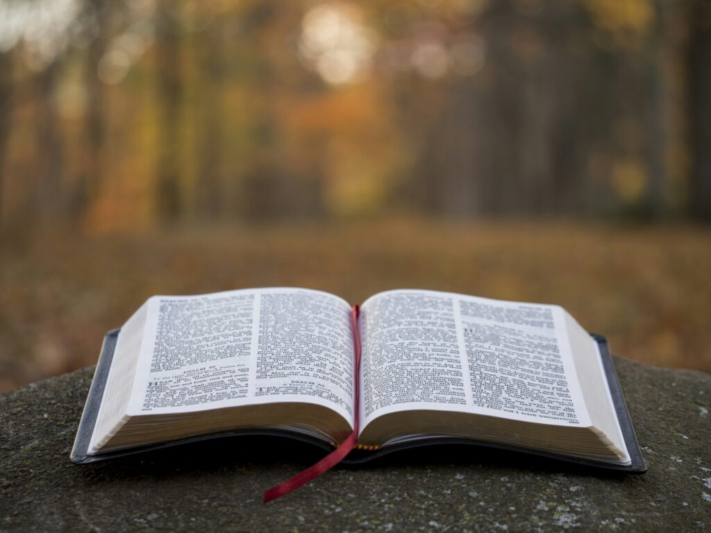 Open Bible bathed in natural light