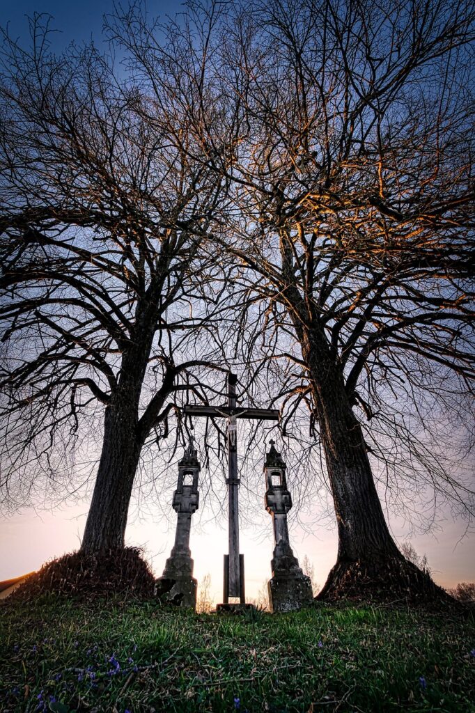The Family Tree of Faith