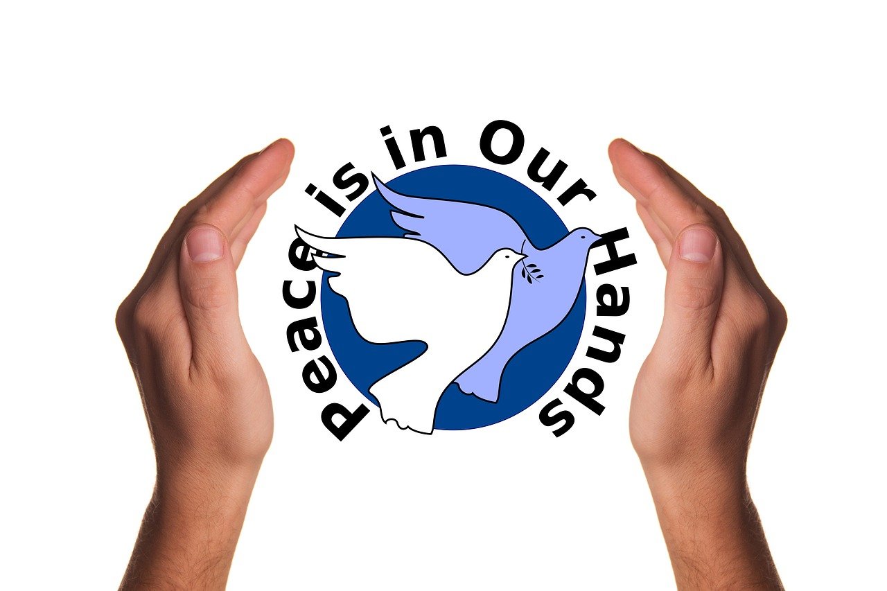 Peaceful dove over sunrise — symbol of hope and reconciliation