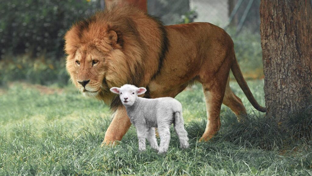 The Lion and the Lamb representing Jesus’ strength and sacrifice