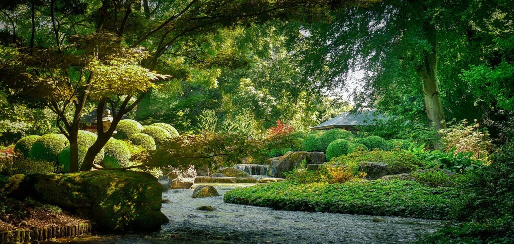 Tree planted by streams of water representing spiritual growth