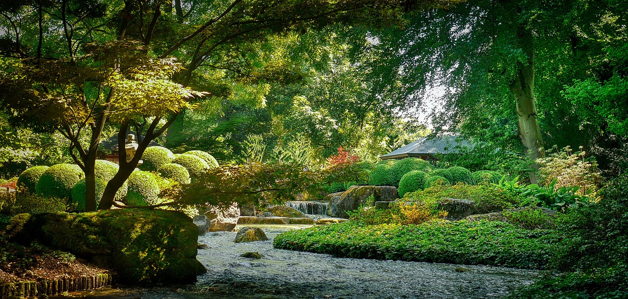 Tree planted by streams of water representing spiritual growth