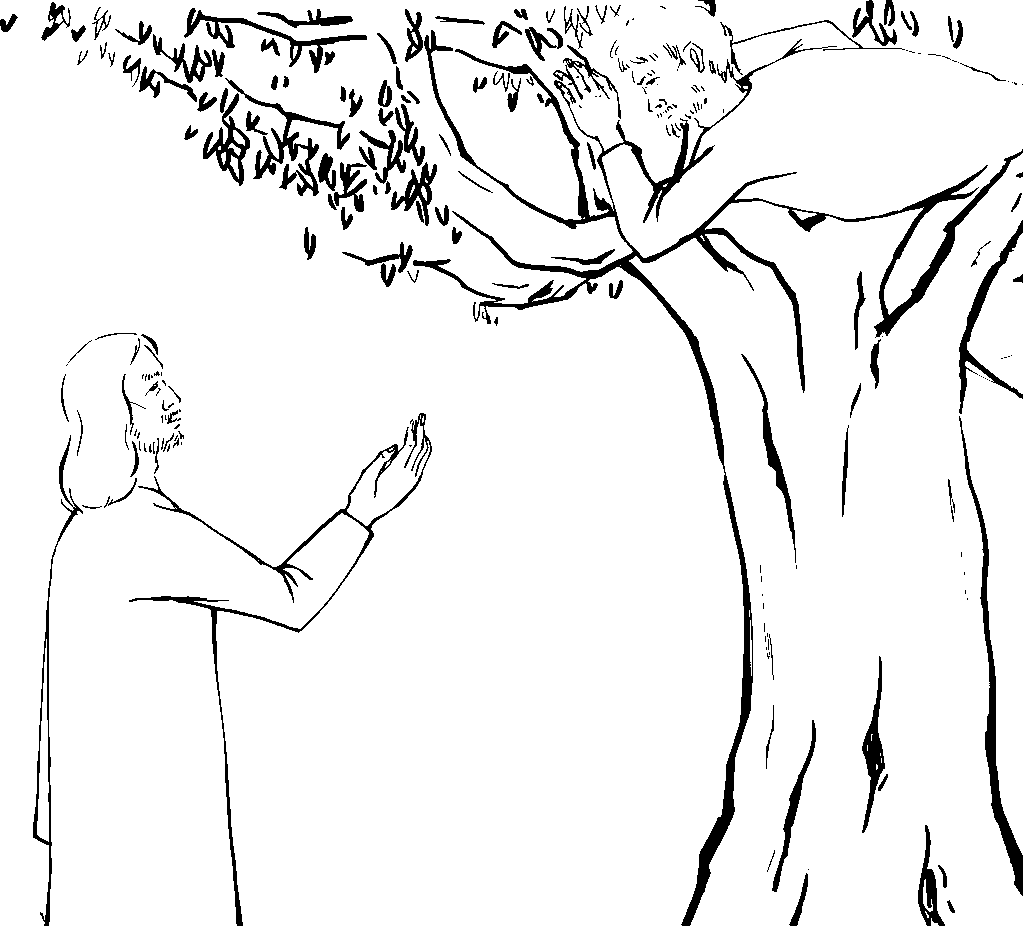 Zacchaeus climbs a sycamore tree to see Jesus passing by