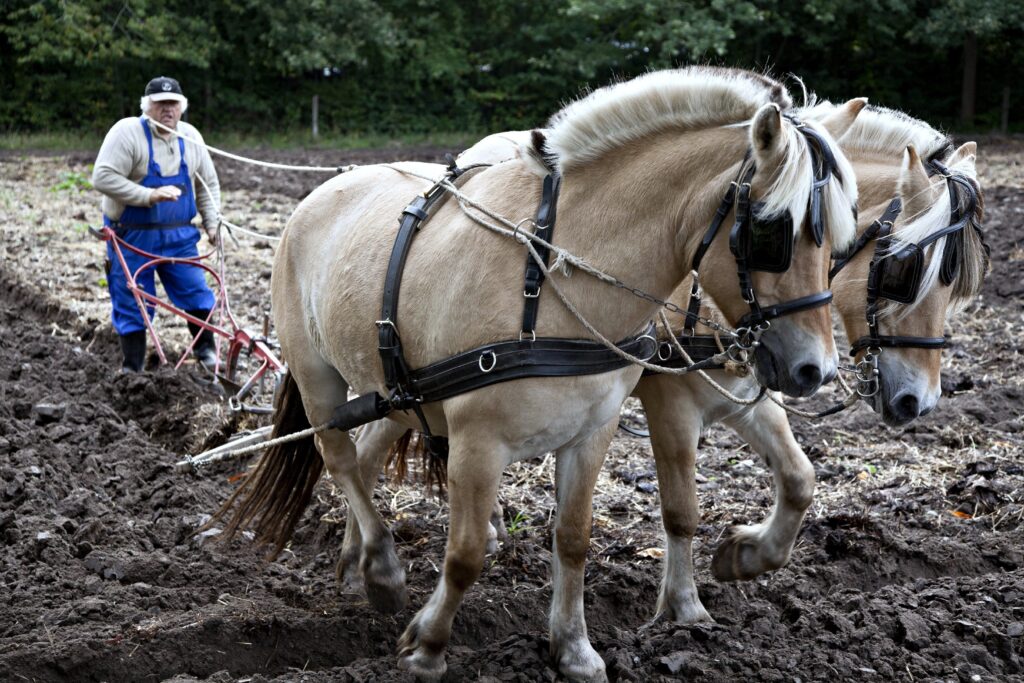 Farmer plowing a field at sunrise symbolizing faithful Christian perseverance