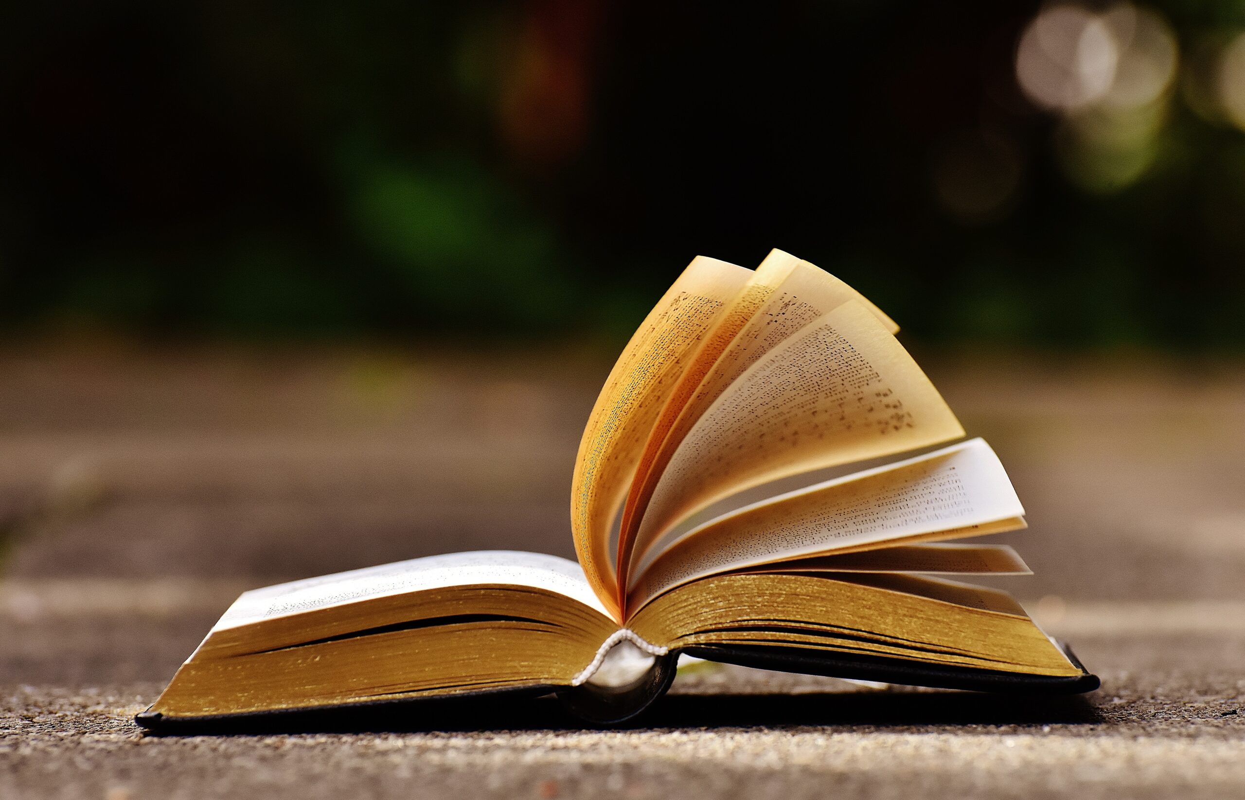 Open Bible beside a pathway symbolizing eternal priorities and seeking God's kingdom first.