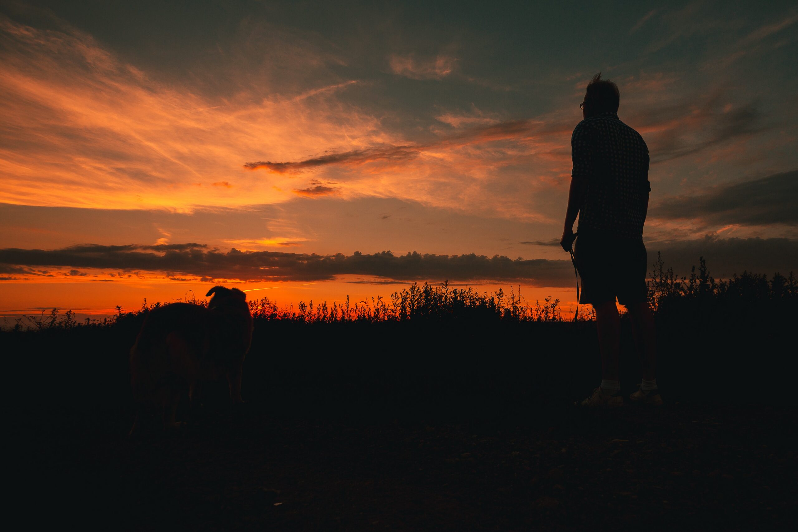 A sunrise over workers in a field with rays of light, symbolizing offering every task to the Lord.