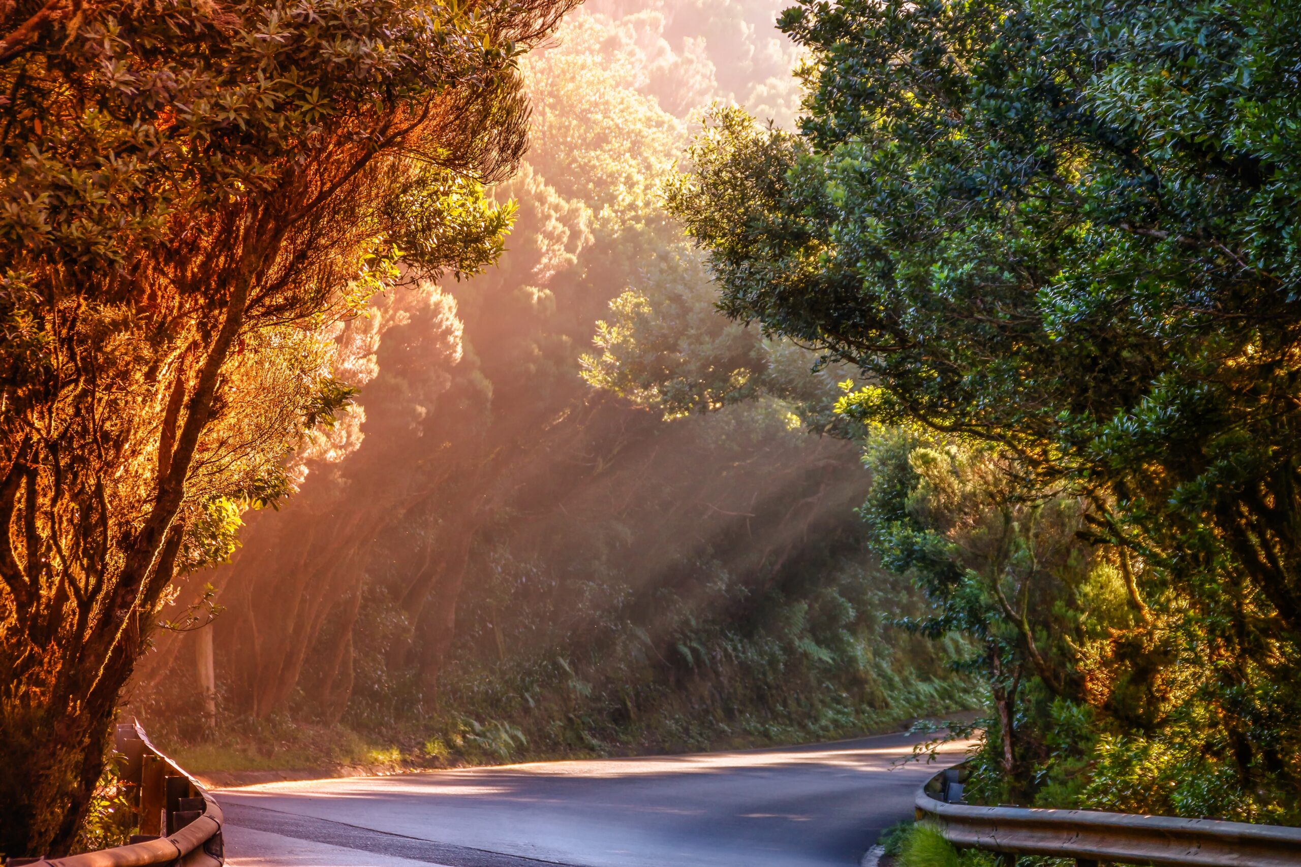Sunrise over a peaceful country road reminding believers to live each day with an eternal perspective in Christ.