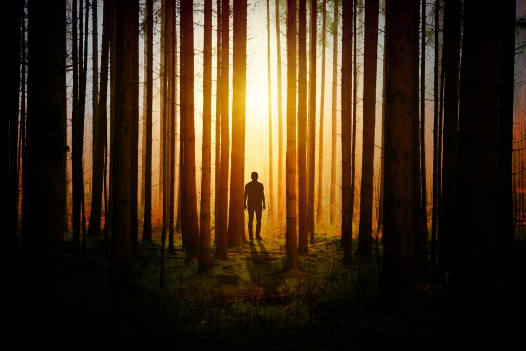 Sunlight breaking through dark forest symbolizing Christ guiding mankind out of darkness.