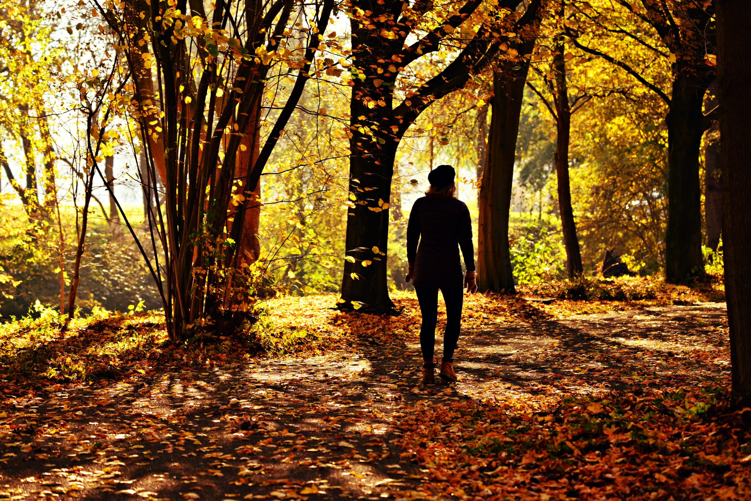 Person walking a peaceful path by faith and trusting Jesus