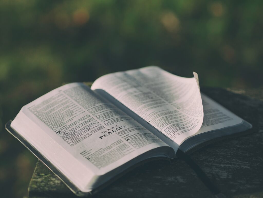 Open Bible with soft morning light, symbolizing Jesus' invitation to come