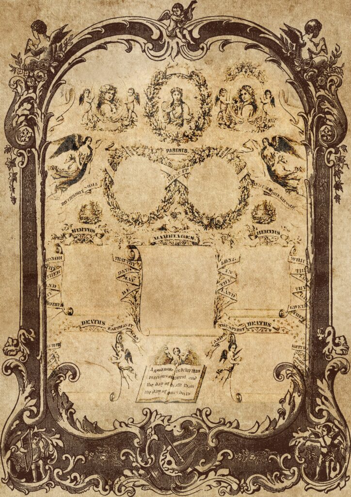 Old family tree, reflecting God's plan for your life across generations