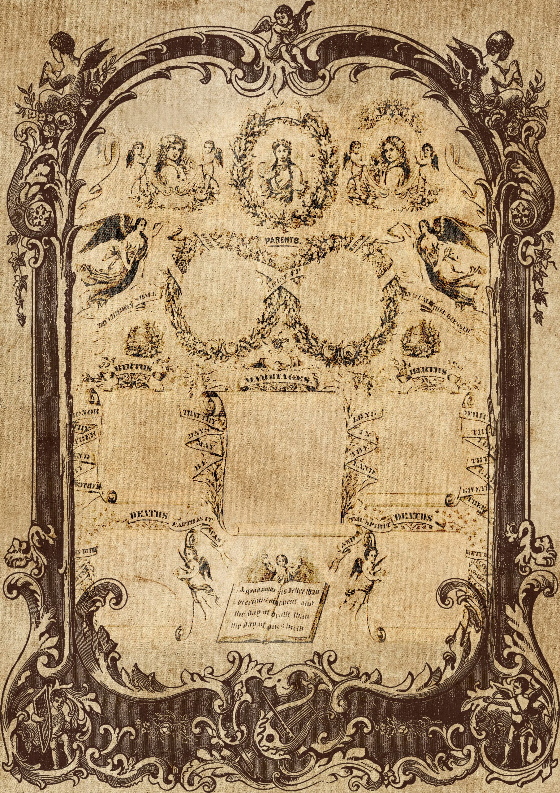 Old family tree, reflecting God's plan for your life across generations