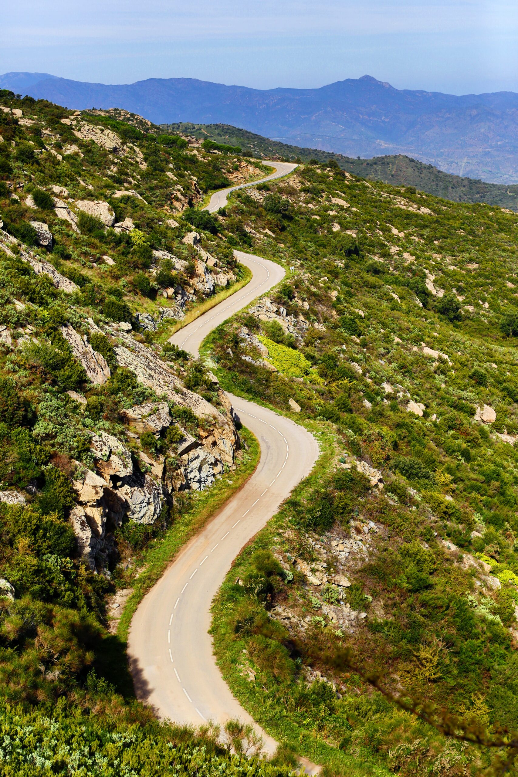 A lone path winding through a sunlit desert wilderness, a picture of being a voice in the wilderness who prepares the way of the Lord