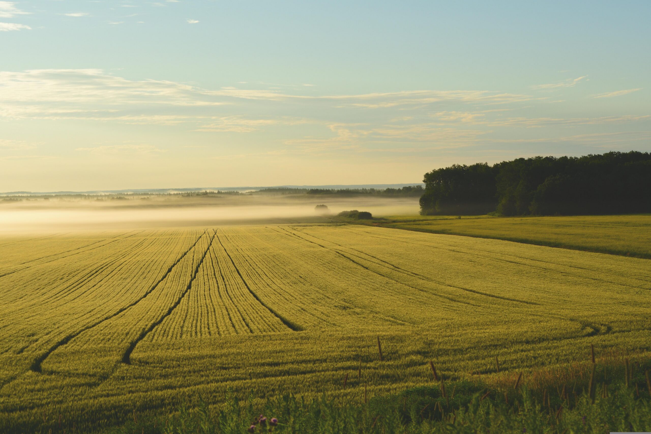 Sunrise breaking over a quiet field, a picture of God's power to restore the joy of salvation